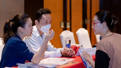 Hợp tác giáo dục Việt - Pháp hướng đến đào tạo nhân lực chất lượng cao