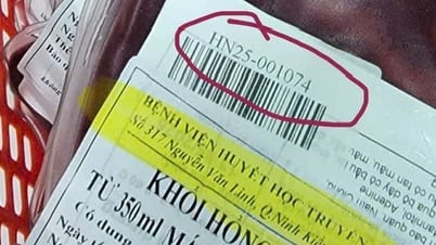 Nhận túi máu cung cấp lại, dán nhãn phụ đè lên nhãn gốc có đúng không?