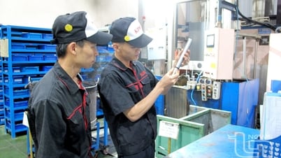 Sản xuất ổn định, phát triển bền vững