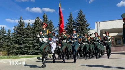Aprobar el proyecto de ley que modifica y complementa varios artículos de 11 leyes sobre defensa militar y nacional