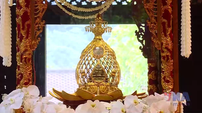 ព្រះសារីរិកធាតុរបស់ព្រះពុទ្ធត្រូវបានតម្កល់នៅវិមាន Truc Lam Yen Tu