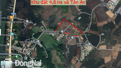 Approbation du plan d'enchères pour le premier terrain dans le district de Vinh Cuu, prix attendu supérieur à 20 milliards de VND