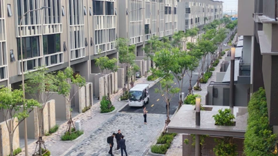 CapitaLand Development запускает Canopy Clubhouse