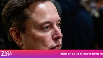 Por qué Elon Musk quiere retirarse de la política