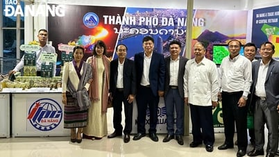 Doanh nghiệp Đà Nẵng quảng bá sản phẩm, xúc tiến thương mại tại Lào