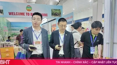 Die Industrie- und Handelsmesse North Central Region – Ha Tinh soll im September stattfinden.