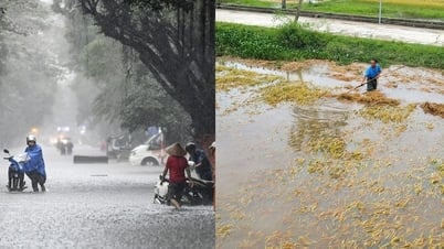 Ứng phó với thời tiết ngày càng cực đoan, bất thường: Tạo điều kiện để tư nhân và cộng đồng đầu tư vào thích ứng khí hậu