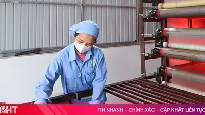 Resolution 68 - new opportunities for small businesses and business households in Ha Tinh