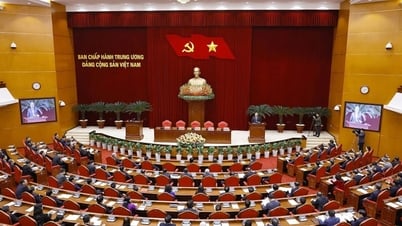 行政機構および部署の再編に関する政治局の結論