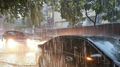 Bộ Nông nghiệp và Môi trường đề nghị ứng phó với đợt mưa lớn
