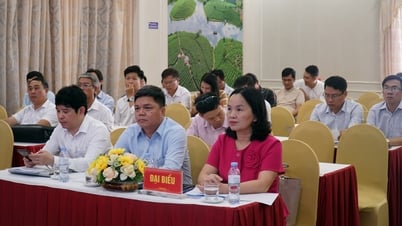 Nghệ An sản xuất hơn 20.000 ha lúa theo phương pháp giảm phát thải khí nhà kính