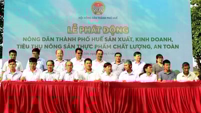 Nông dân thành phố Huế sản xuất, kinh doanh, tiêu thụ nông sản an toàn
