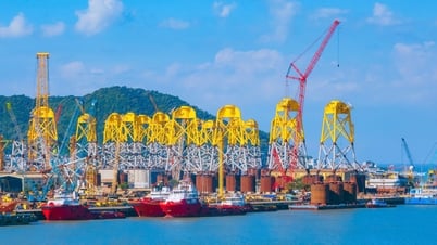 PTSC trước thềm Đại hội đồng cổ đông 2025: Sẵn sàng cho sức bật mới
