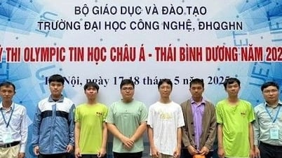Vietnamesische Studenten gewinnen 6 Medaillen bei der Asien-Pazifik-Informatik-Olympiade