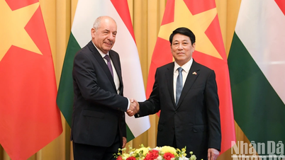 [Foto] Präsident Luong Cuong führt Gespräche mit dem ungarischen Präsidenten Sulyok Tamás