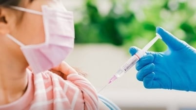 Министерство здравоохранения разрабатывает закон о профилактике заболеваний