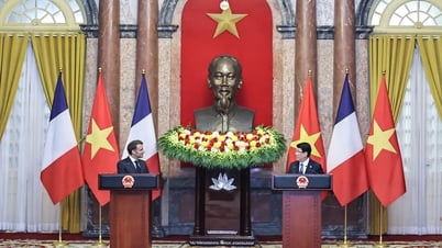 Президент Лыонг Кыонг и президент Франции Эммануэль Макрон встречаются с прессой