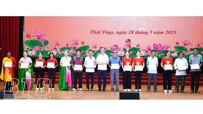Thai Thuy: Ausbildung und Förderung zur Verbesserung beruflicher Kompetenzen in Kultur und Sport