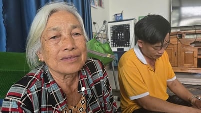 Đi làm ăn xa trở về phát hiện đất nông nghiệp đã bị thu hồi, bồi thường cho người khác