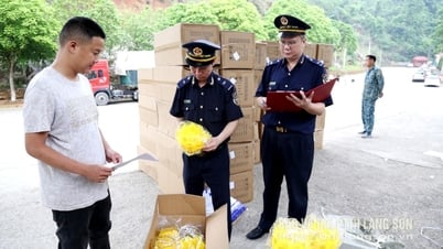 ขจัด “อุปสรรค” ส่งเสริมการนำเข้า-ส่งออกสินค้าผ่านด่านชายแดนโคกนาม – หนังสือพิมพ์และสถานีวิทยุโทรทัศน์ลางซอน