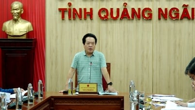 UBND tỉnh nghe báo cáo tiến độ thu tiền sử dụng đất đối với các dự án trên địa bàn tỉnh