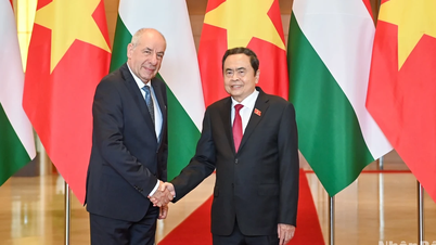 [Foto] El presidente de la Asamblea Nacional, Tran Thanh Man, se reúne con el presidente húngaro, Sulyok Tamas.