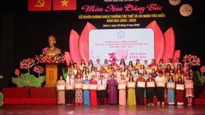 Le ministère de l'Éducation et de la Formation a un projet qui a reçu le « HCMC Creativity Award ».