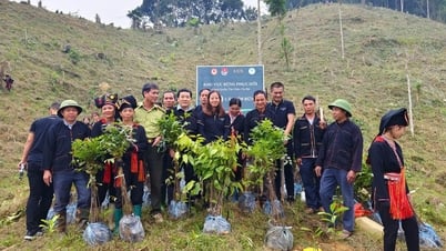 Lời thề giữa đại ngàn của đồng bào Mông - Yên Bái