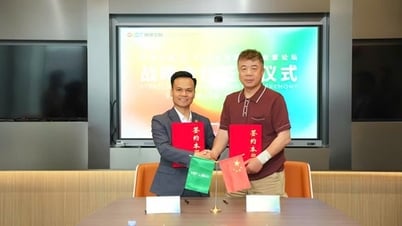 VEFグローバルが外資系ファンドGDCTと提携し、スタートアップ投資の「波に乗る」