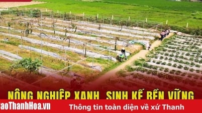 Grüne Landwirtschaft, nachhaltiger Lebensunterhalt
