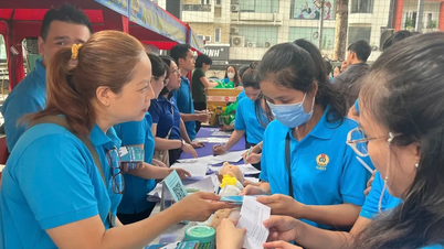 TPHCM phát động hội thi tìm hiểu Luật Bảo hiểm xã hội năm 2024
