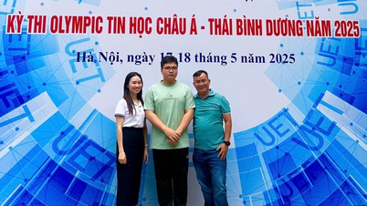Thanh's journey to the silver medal at the Asia-Pacific Informatics Olympiad