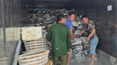 Phát hiện 25 tấn mực bốc mùi tại một kho hàng ở Quảng Ninh - Báo và Đài Phát thanh Truyền hình Lạng Sơn