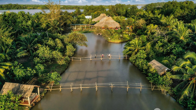 Discover 2 great eco-tourism destinations in Ben Tre this summer: Hai Van Farm and Vam Ho Forest