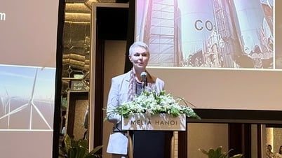 Hành trình chuyển dịch năng lượng của Việt Nam và cam kết đồng hành từ quốc tế