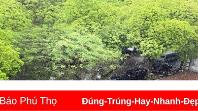 Thời tiết ngày 28/5: Hà Nội và nhiều tỉnh thành trên cả nước có mưa