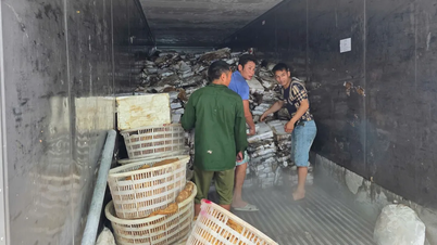 Был обнаружен склад, содержащий более 25 тонн испорченных продуктов.