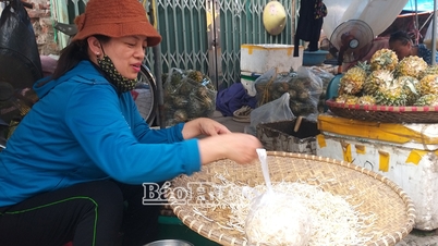 Controlar estrictamente los establecimientos que producen y comercializan brotes de soja que contengan sustancias prohibidas.