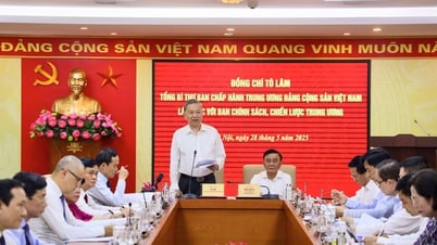 Tổng Bí thư Tô Lâm: Có thể cấp phép cho nhiều doanh nghiệp đủ điều kiện tham gia sản xuất vàng miếng