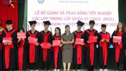 262 étudiants de la branche de formation de Mong Cai ont reçu des certificats de fin d'études professionnelles et ont été recrutés directement.