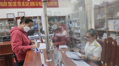 يسعى فريق ضريبة المدينة فان رانغ - ثاب تشام إلى تحصيل الميزانية