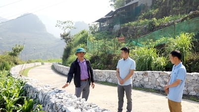Rural innovation in Quan Ba