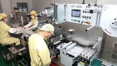 特定の基準に基づいた機能性食品の透明な管理