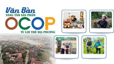 فان بان يرفع منتجات OCOP من المزايا المحلية