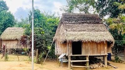 Quang Binh est déterminé à éliminer les maisons temporaires et délabrées avant le 2 septembre