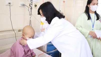 Minister of Health: Cancer cure rate at K Hospital is on par with other countries