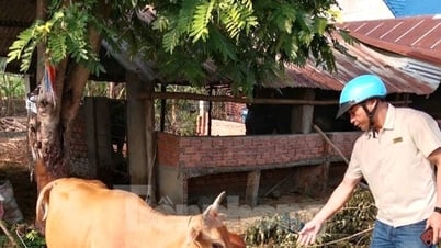 «Ключ» к помощи этническим меньшинствам в развитии их экономики