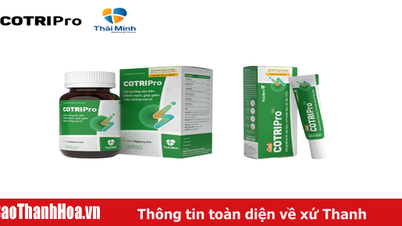 COTRIPro Thai Minh - حل فعال لدعم علاج البواسير