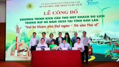 2025年夏の観光客誘致に向けた需要喚起