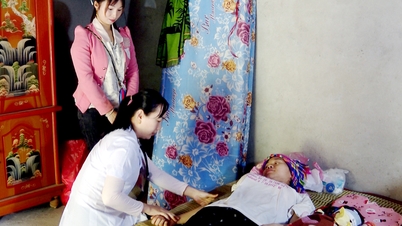 Vi Xuyen se centra en la calidad de las actividades médicas en pueblos y comunas.